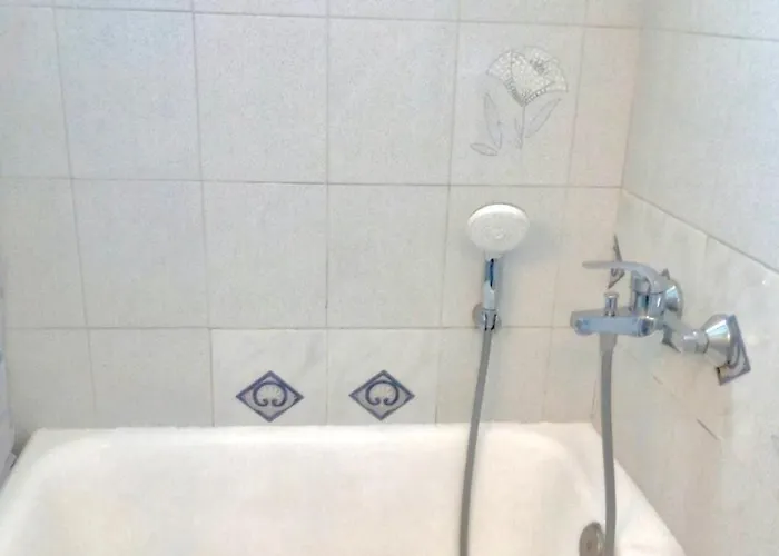 Apricot Garden, 5' To Center, 5' To *